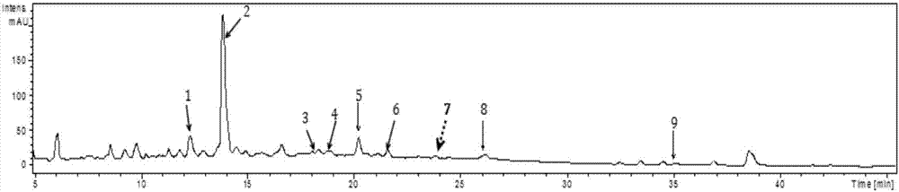 Rhizome nelumbinis polyphenol extractive and preparation method and application thereof