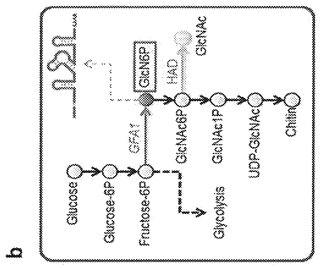 Method for screening mutant microorganism overproducing target metabolite using synthetic suicide genetic circuit