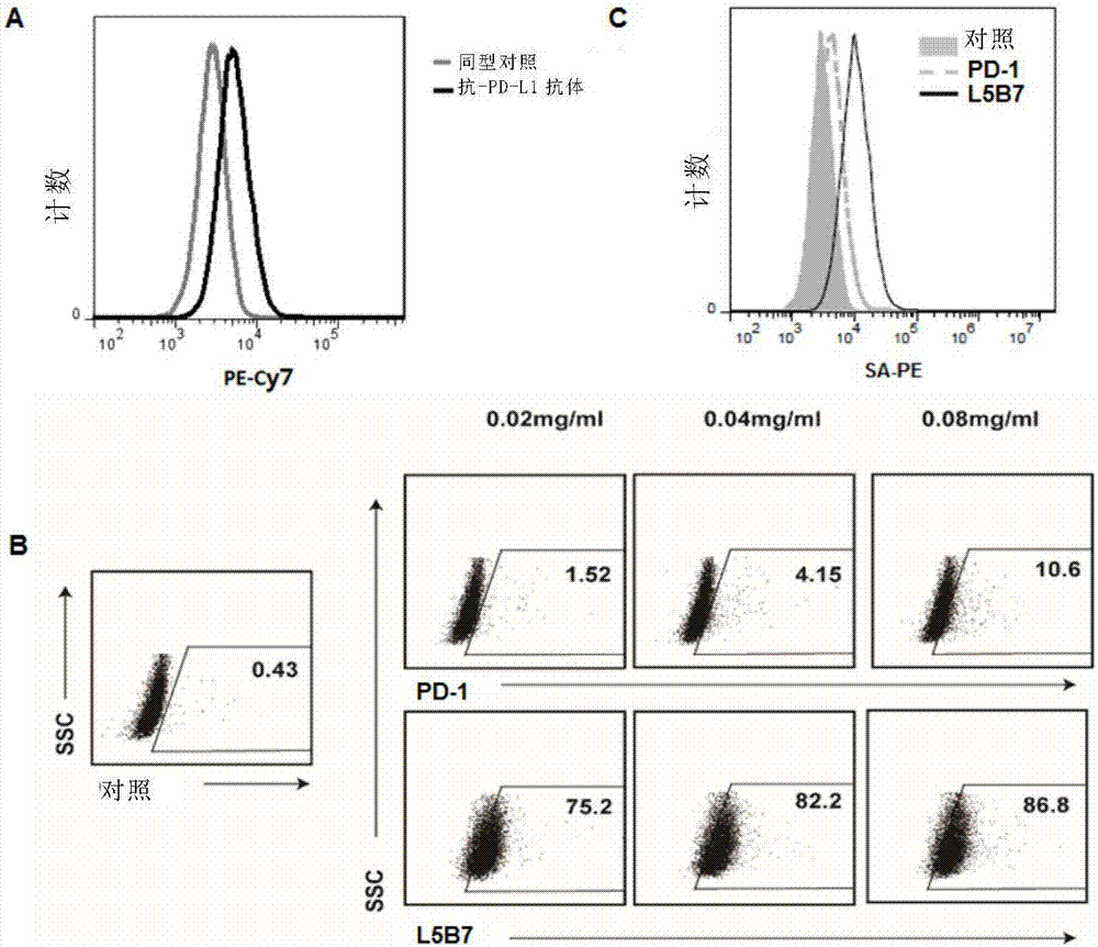 Soluble PD-1 (programmed death-1) molecule with high affinity