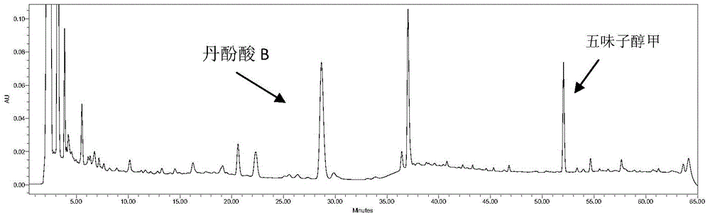 Method for measuring content of salvianolic acid B and schisandrin in heart-benefiting pulse-invigorating granule by quantitative analysis of multi-components by single marker(QAMS)