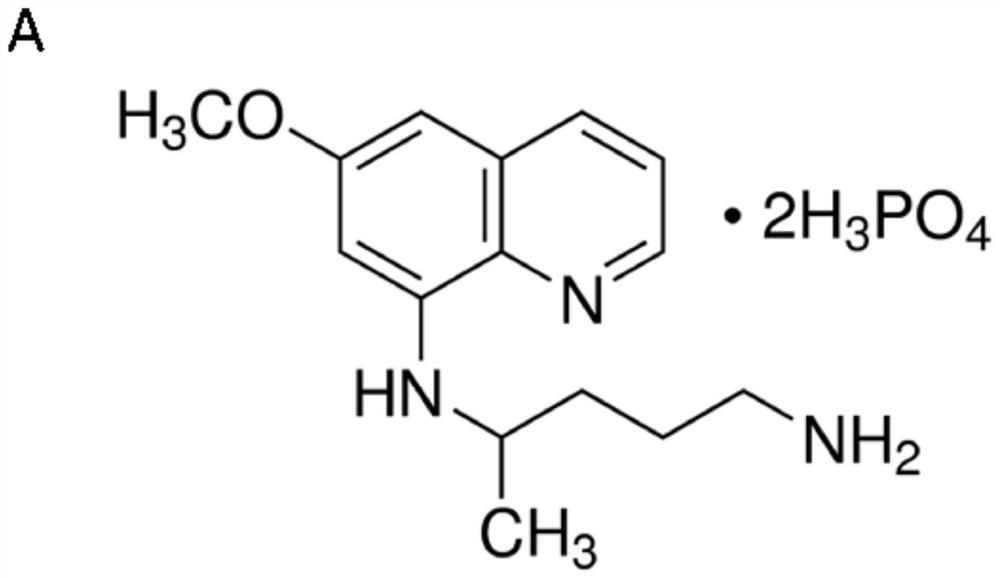 Application of an antimalarial drug primaquine phosphate in the preparation of a drug for treating leukemia