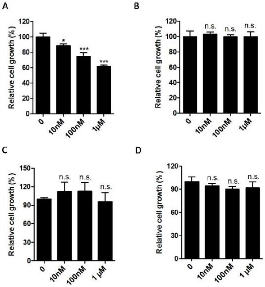 Application of an antimalarial drug primaquine phosphate in the preparation of a drug for treating leukemia