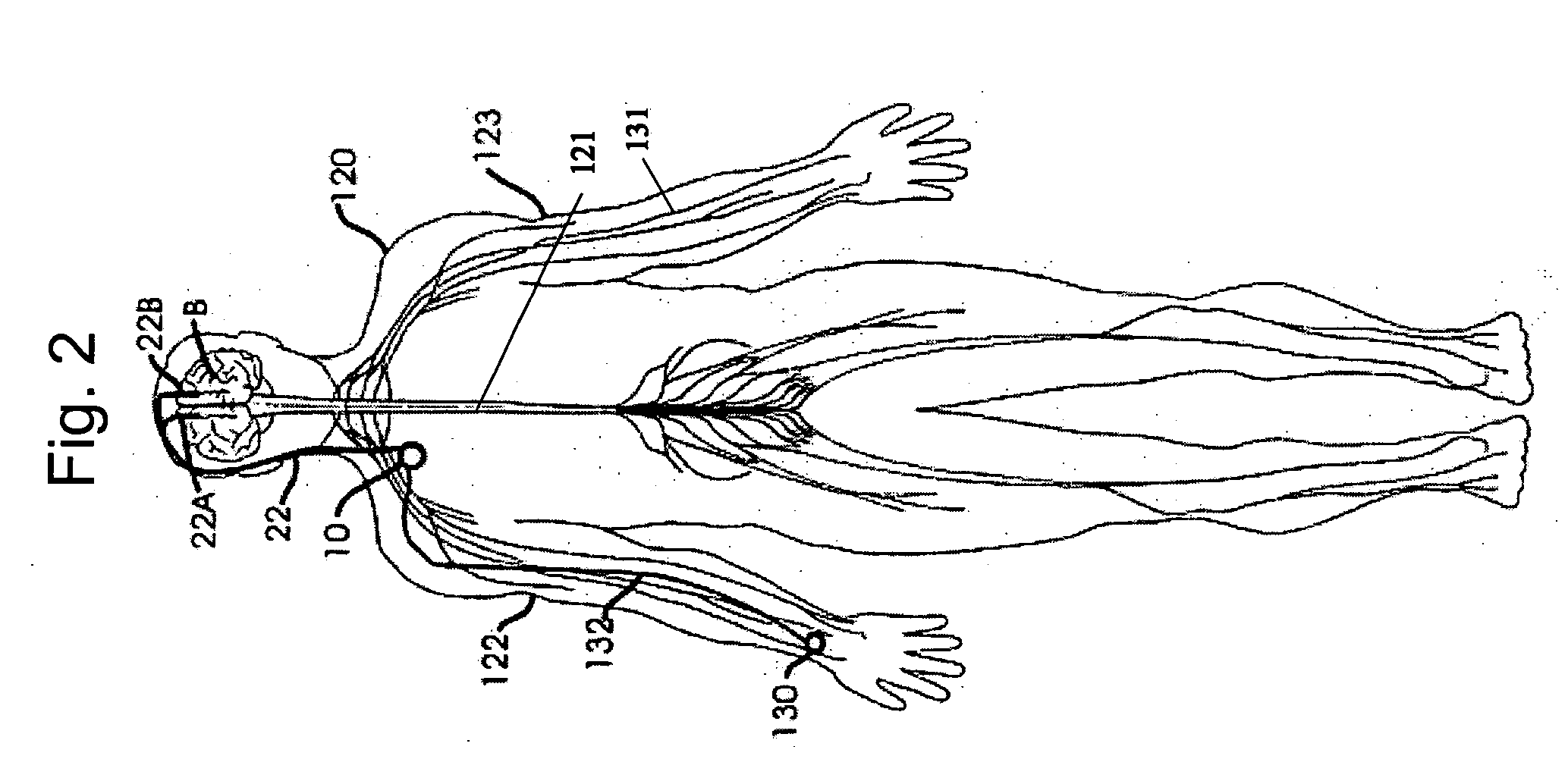 Applications of the stimulation of neural tissue using light