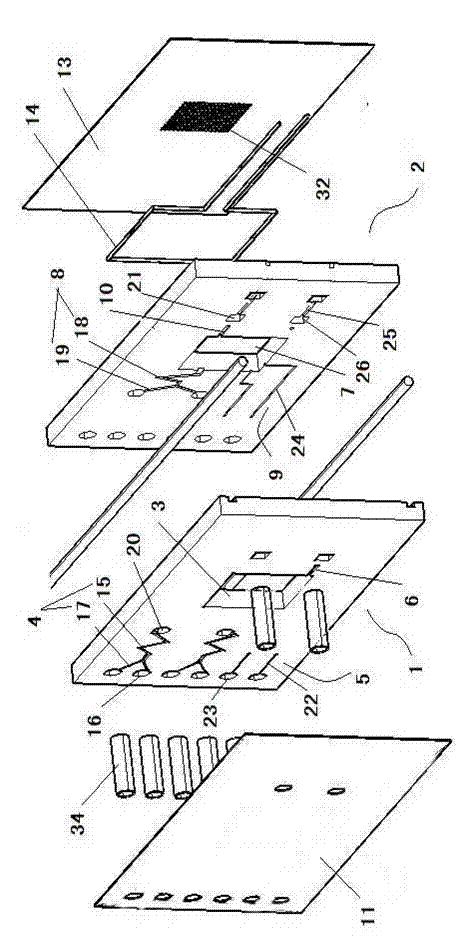 Microfluidic cell culture chip and real-time observation system thereof