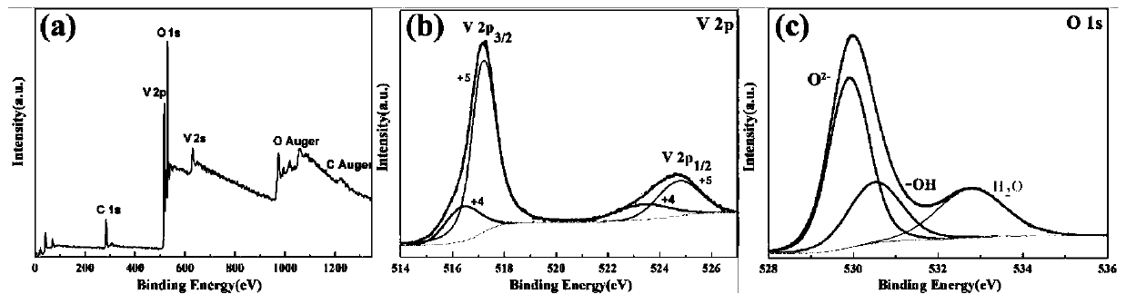 Vanadium oxide/carbon/clay composite positive electrode material as well as preparation method and application thereof in aqueous battery