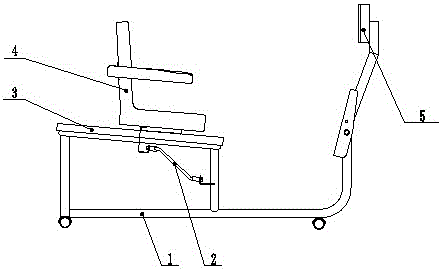 Lower limb training device