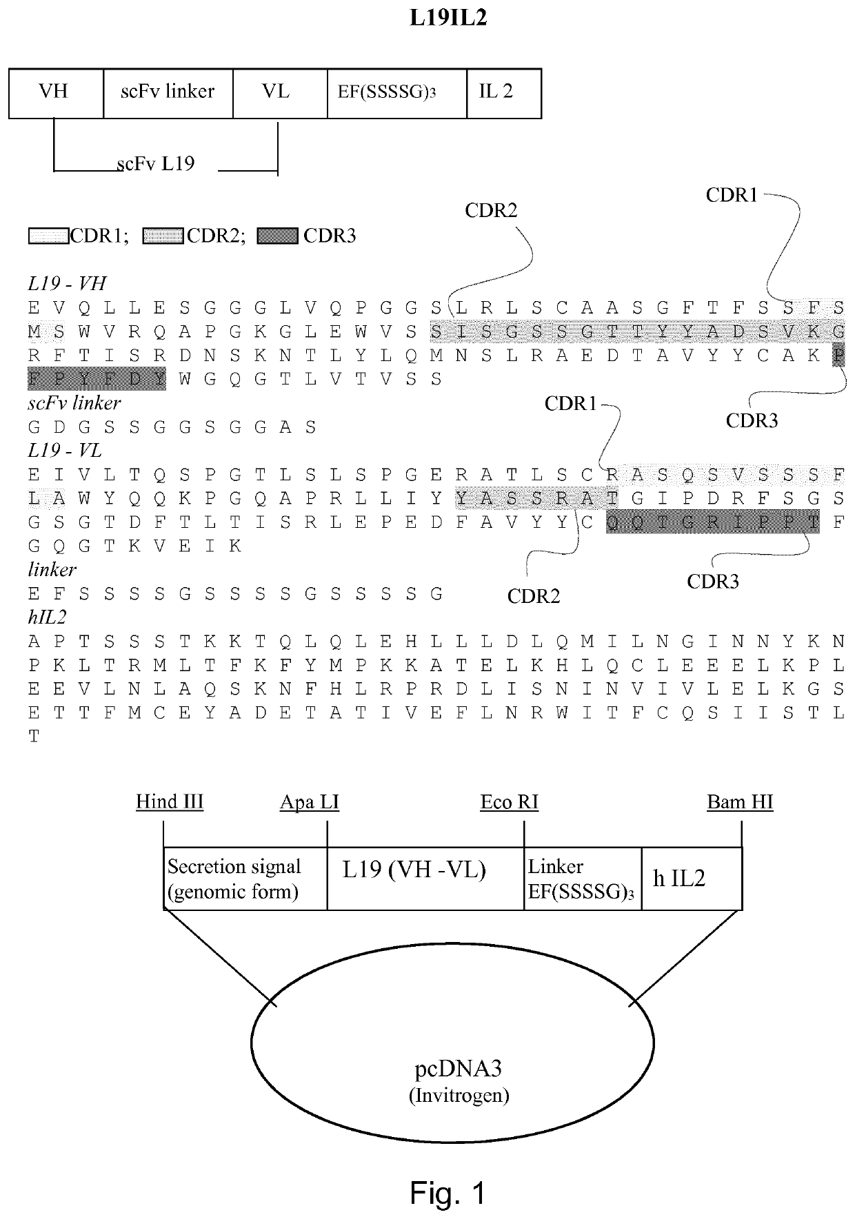 Immunocytokines with progressive activation mechanism