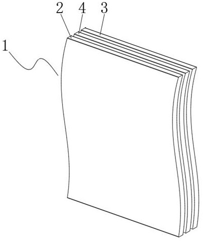 Trans-nasal nerve skull base repair device, skull base repair membrane and using method of transnasal nerve skull base repair device