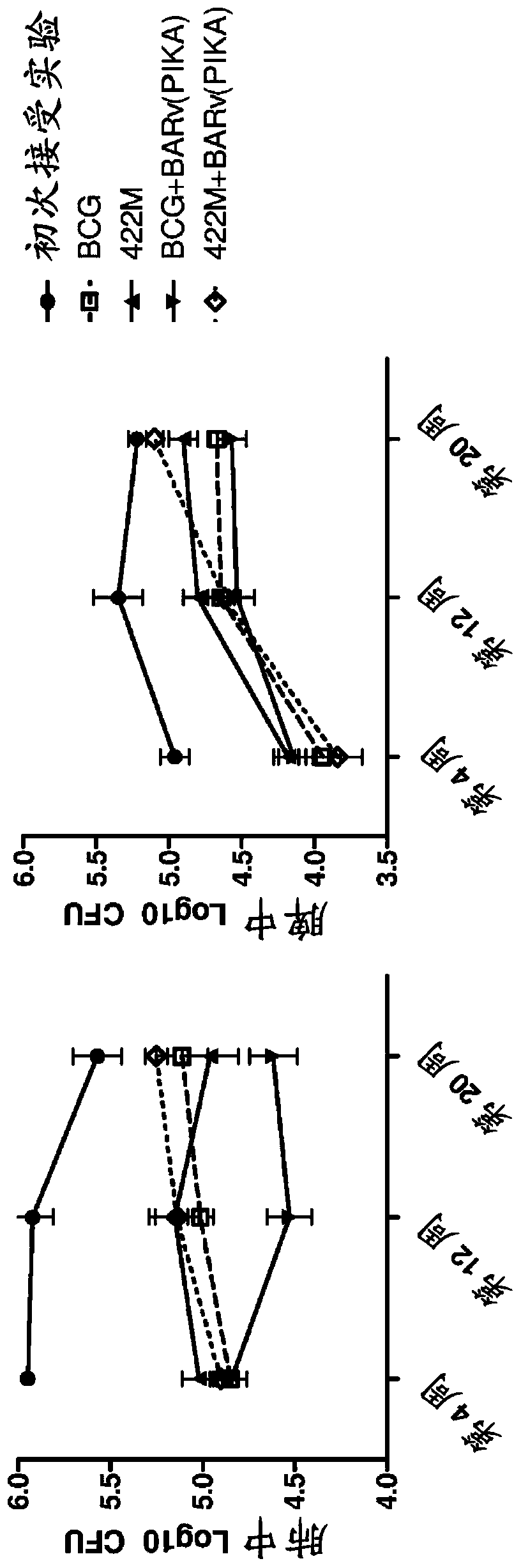 Tuberculosis compositions and methods of treating or preventing tuberculosis