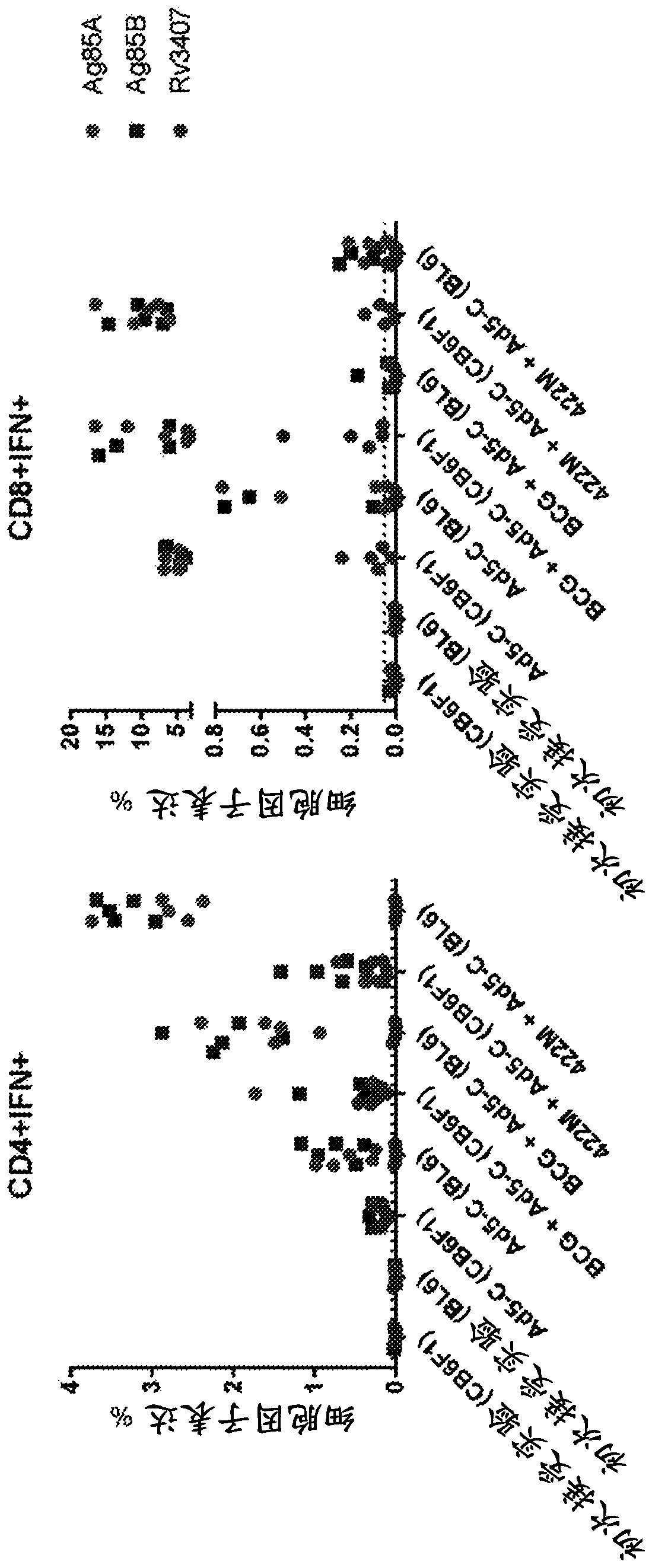 Tuberculosis compositions and methods of treating or preventing tuberculosis