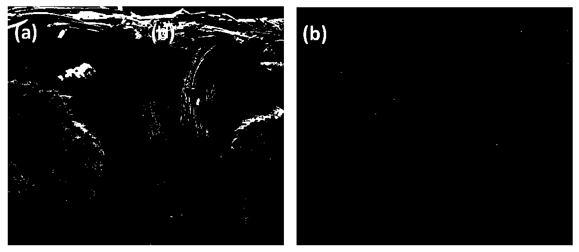 Carbon fiber composite artificial bone and preparation method thereof