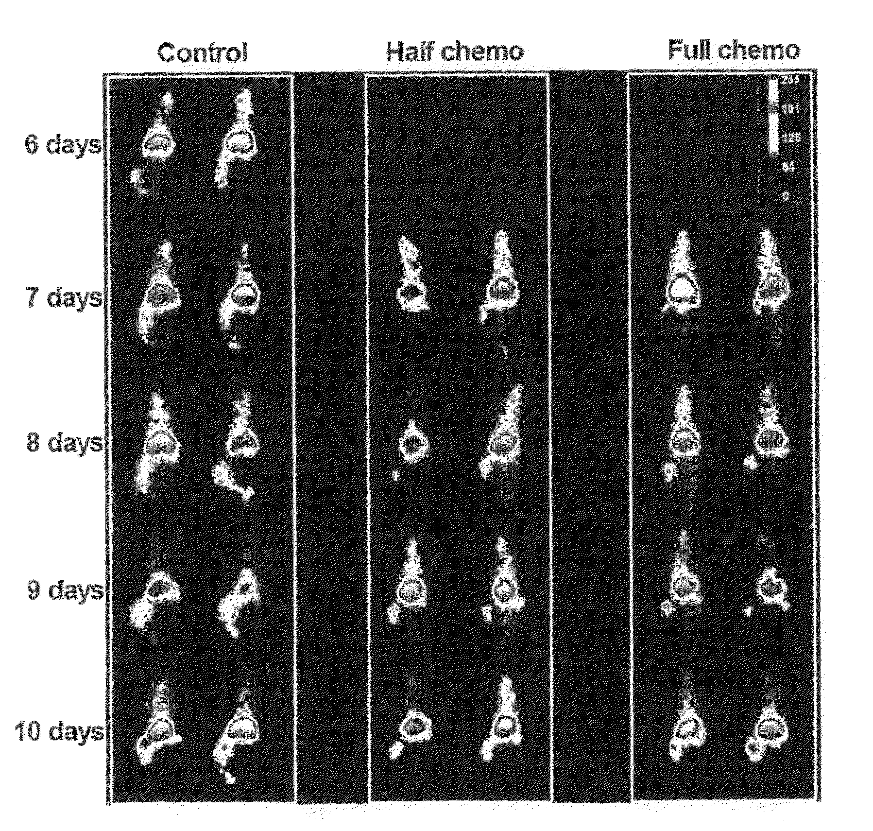 Method of diagnosis and agents useful for same