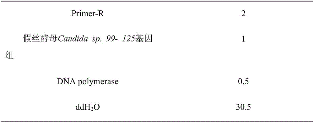 Building method of pichia pastoris gene engineering strain for producing lipase