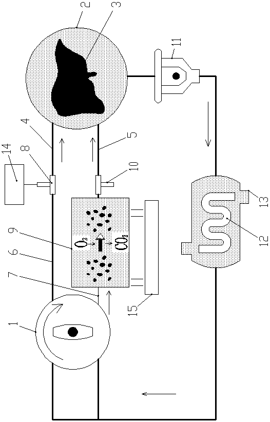 Normal-temperature low-pressure normal-oxygen liver perfusion system