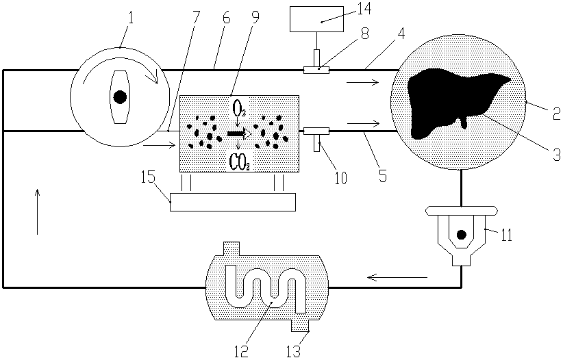 Normal-temperature low-pressure normal-oxygen liver perfusion system