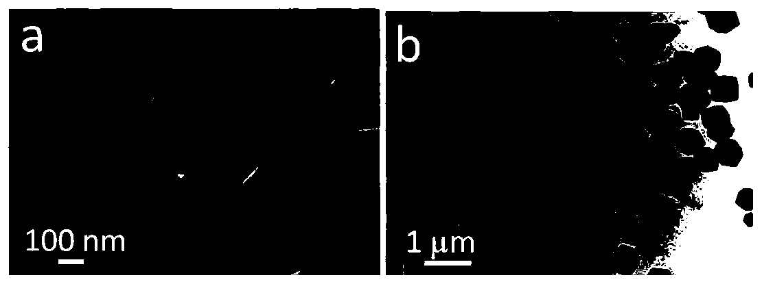 N-doped porous carbon-coated Co3O4 composite nano material and preparation method thereof, and application of N-doped porous carbon-coated Co3O4 composite nano material