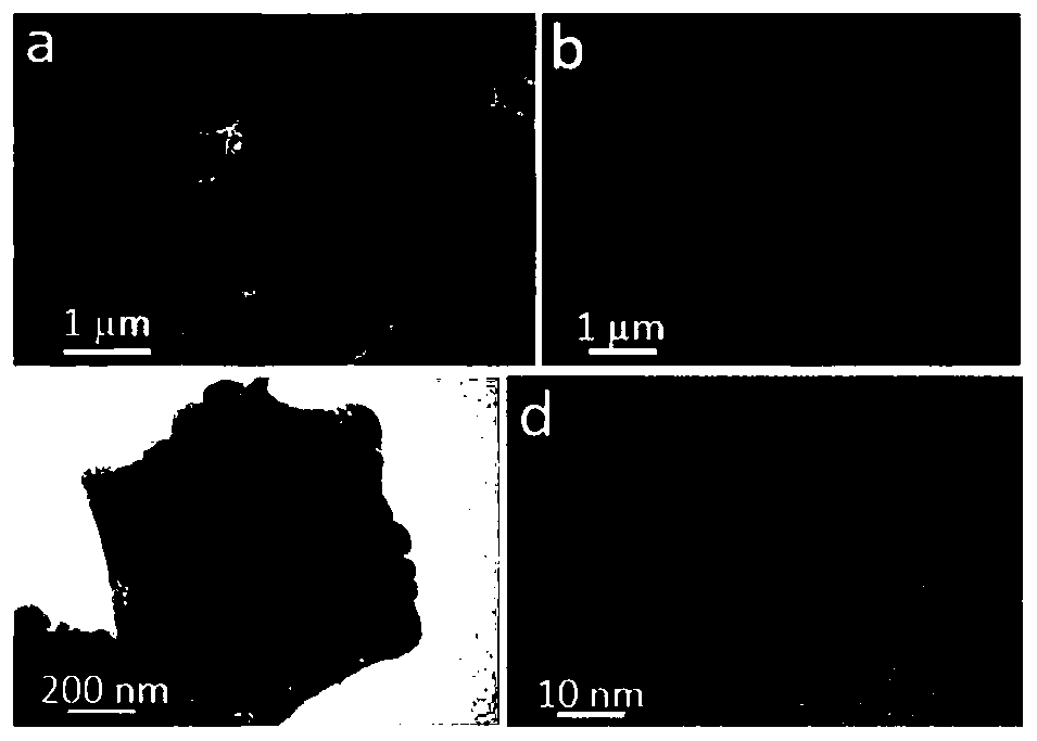 N-doped porous carbon-coated Co3O4 composite nano material and preparation method thereof, and application of N-doped porous carbon-coated Co3O4 composite nano material