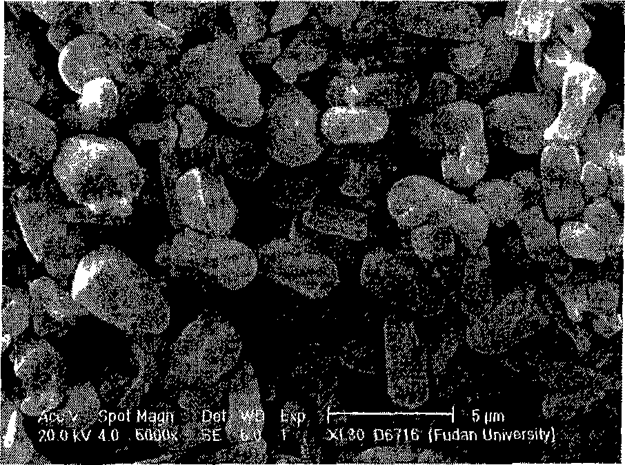 Microwave method for synthesizing nickel phosphates cobalt microporous material