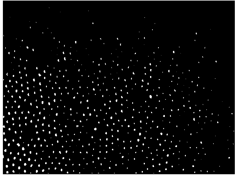 Preparation method of diffusion film coating composition, preparation method of diffusion film, and corresponding diffusion film