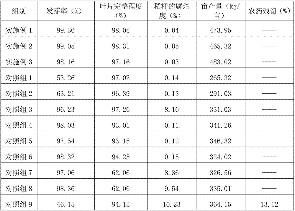 Ivory rice high yield planting method