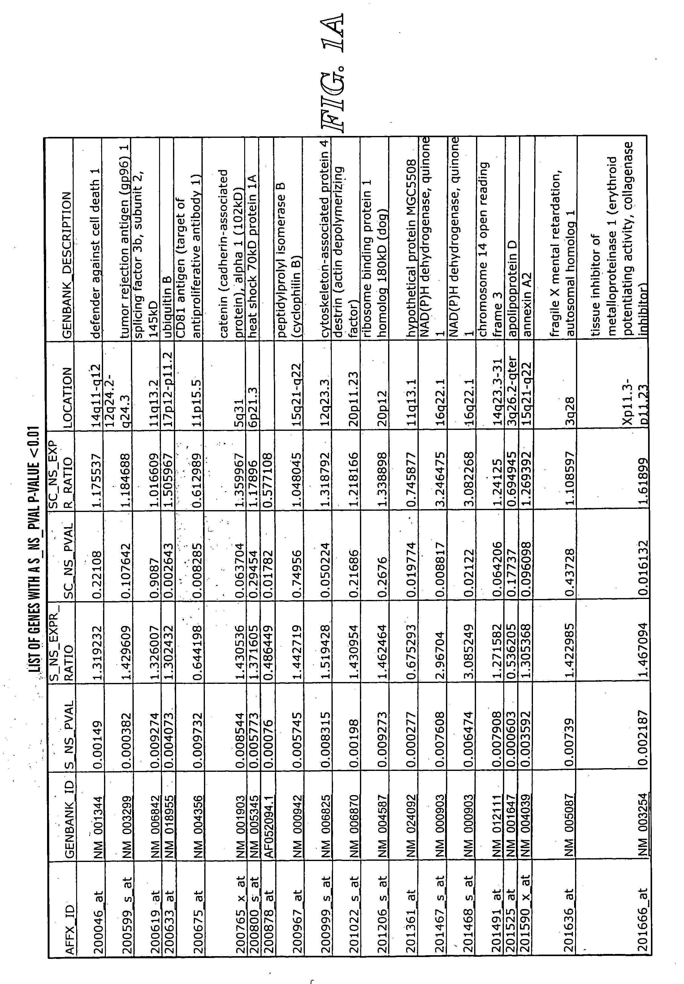 Detection methods for disorders of the lung