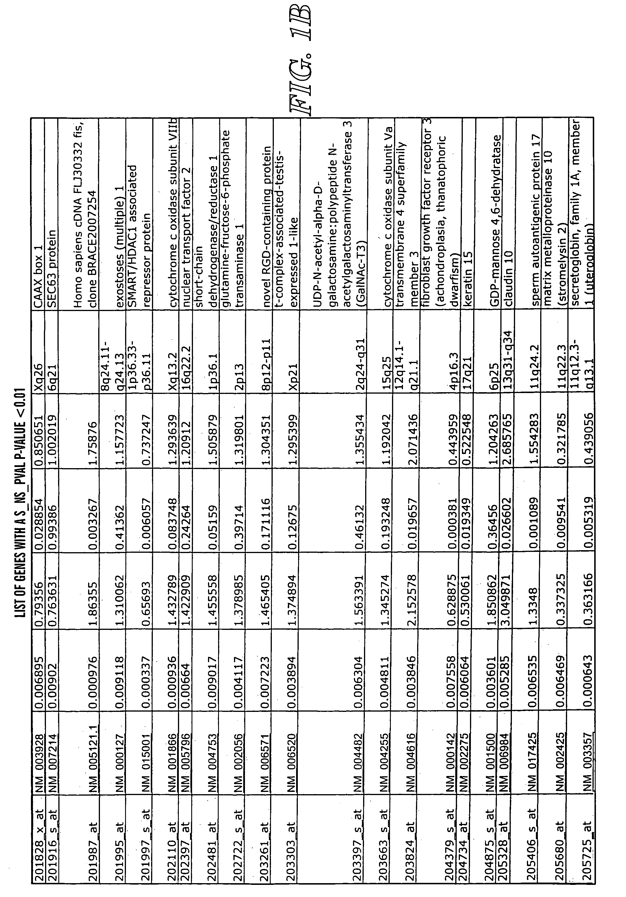 Detection methods for disorders of the lung