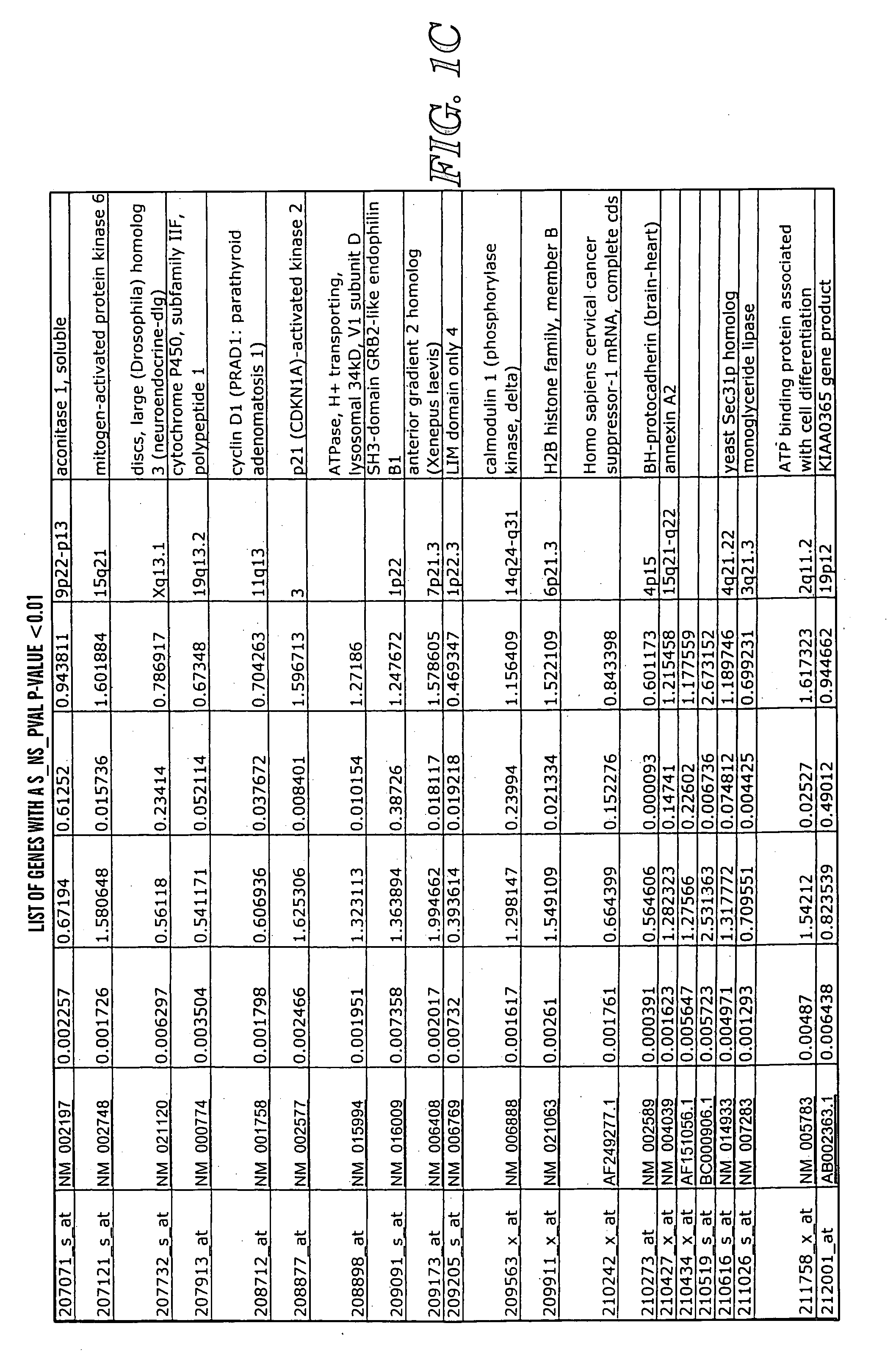 Detection methods for disorders of the lung