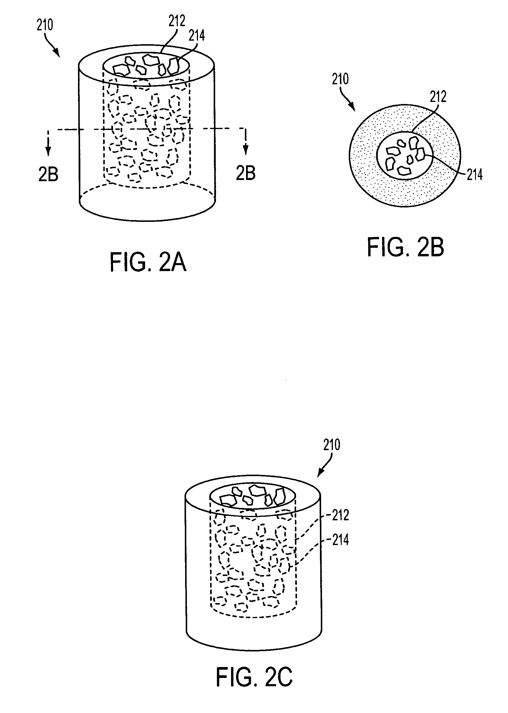 Implantable biostructure comprising an osteoconductive member and an osteoinductive material