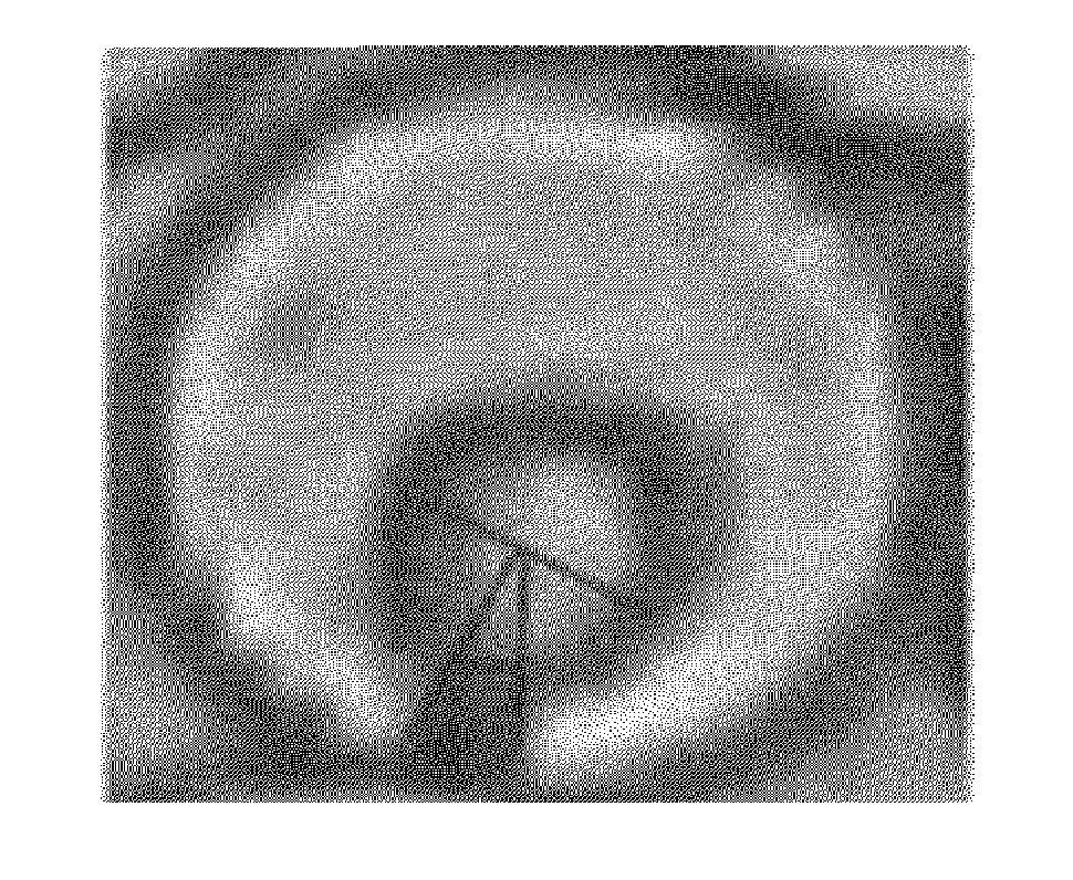 C-Shaped Composite Fiber, C-Shaped Hollow Fiber Thereof, Fabric Including Same, And Method For Manufacturing Same