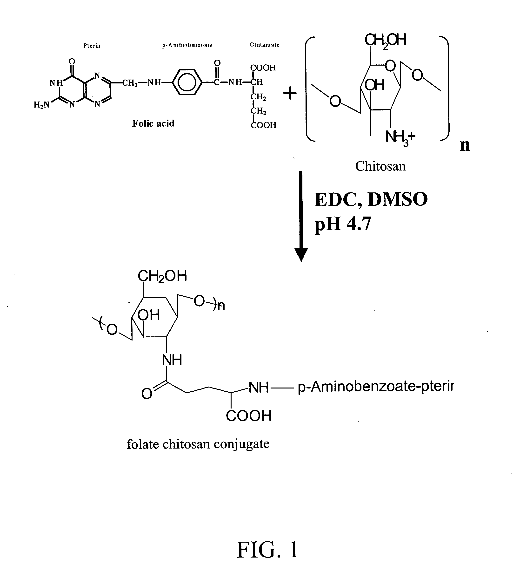 Folic acid-chitosan-DNA nanoparticles