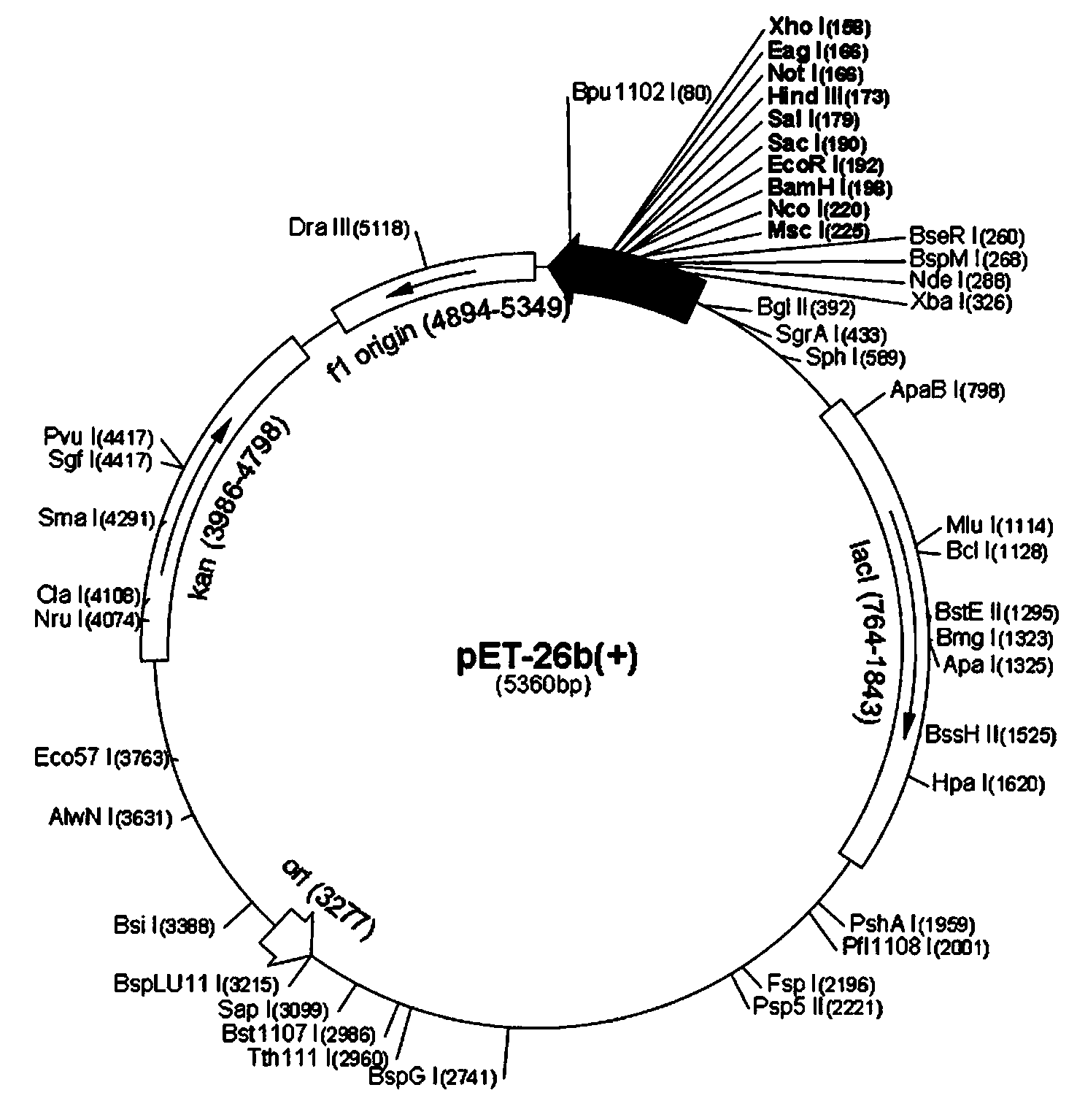 Preparation method of recombinant human acidic fibroblast growth factor (haFGF) protein