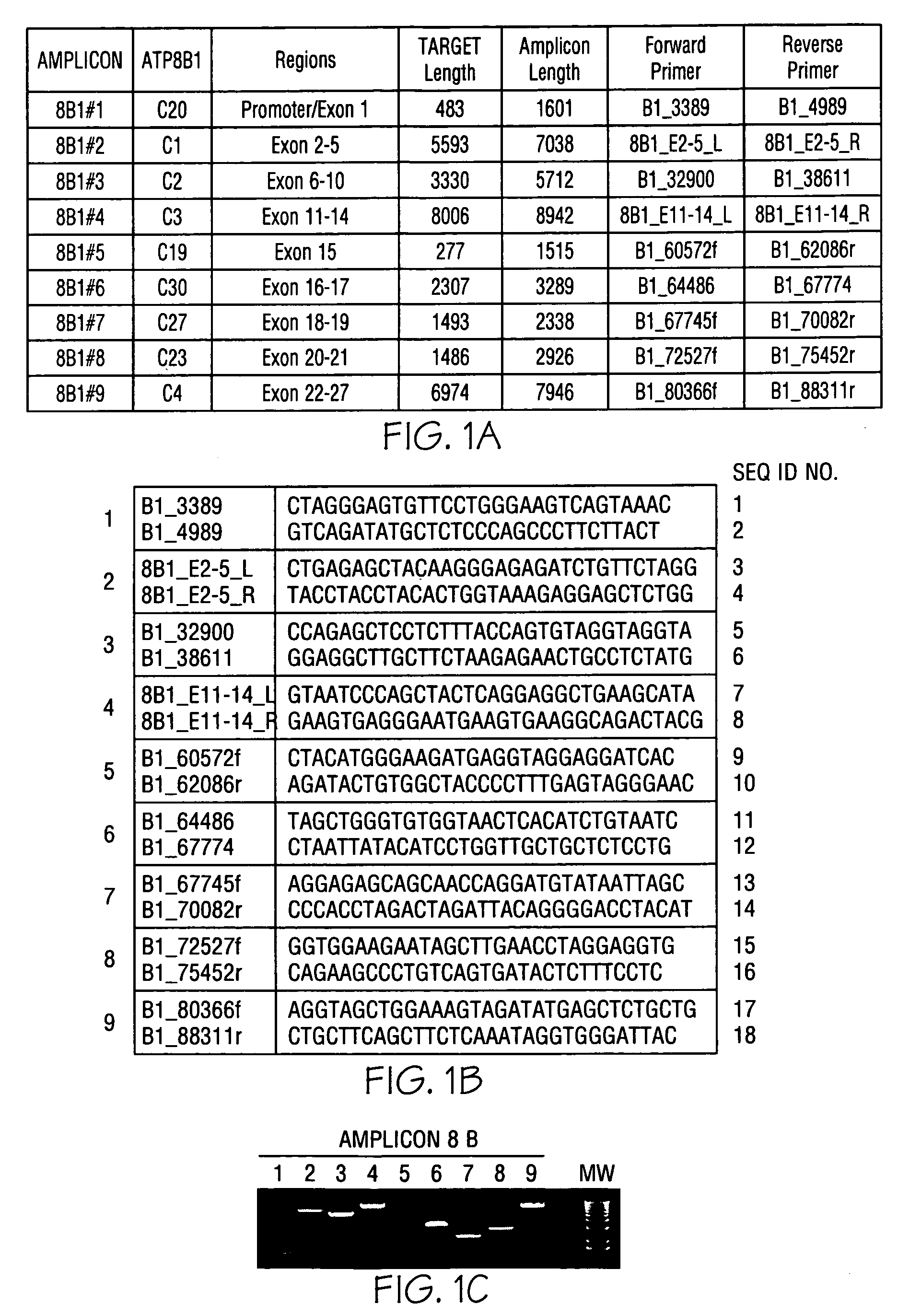 Classification and diagnosis of the molecular basis of cholestasis