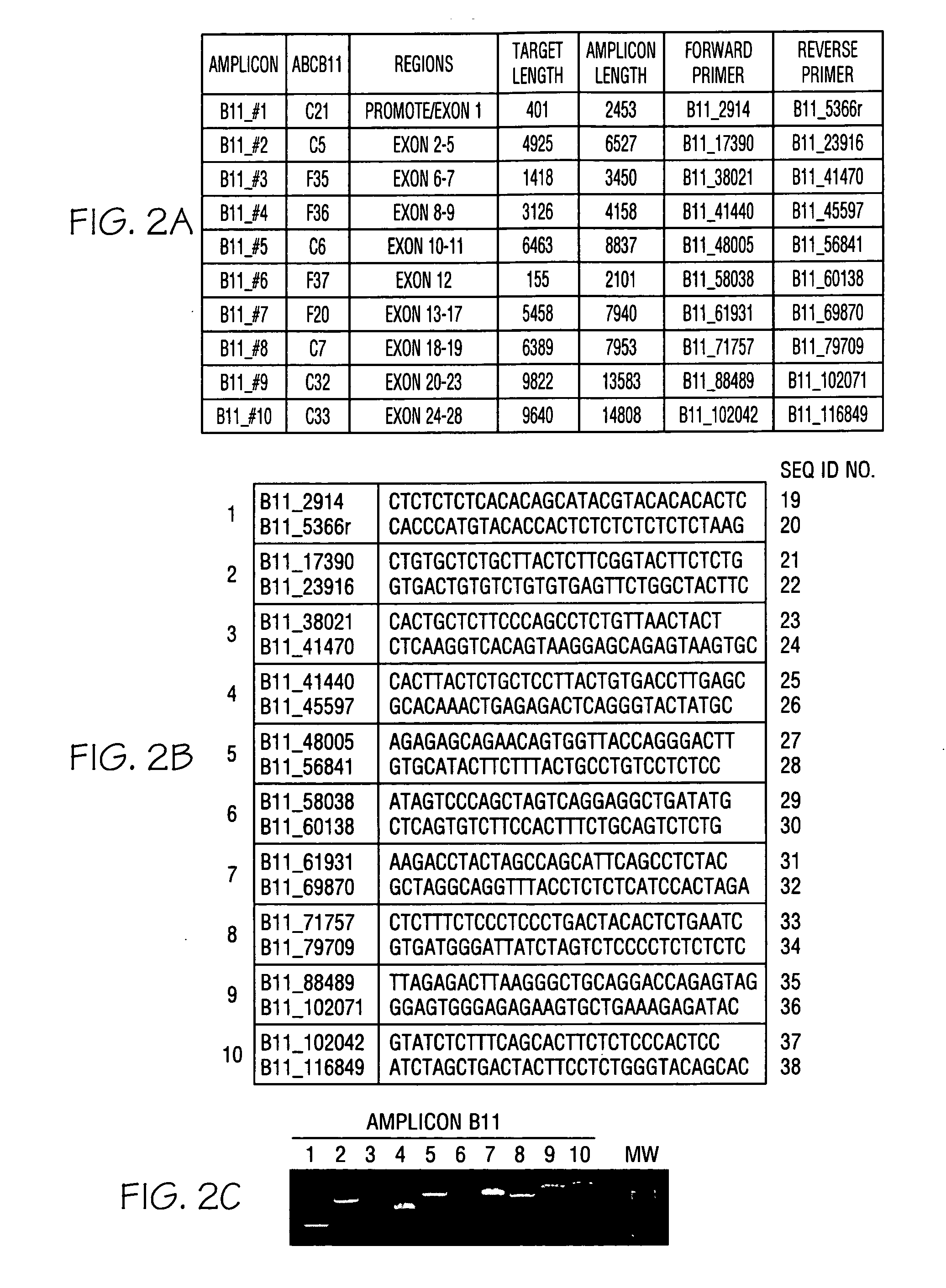 Classification and diagnosis of the molecular basis of cholestasis