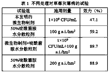 A kind of microbial bacterial agent and its application