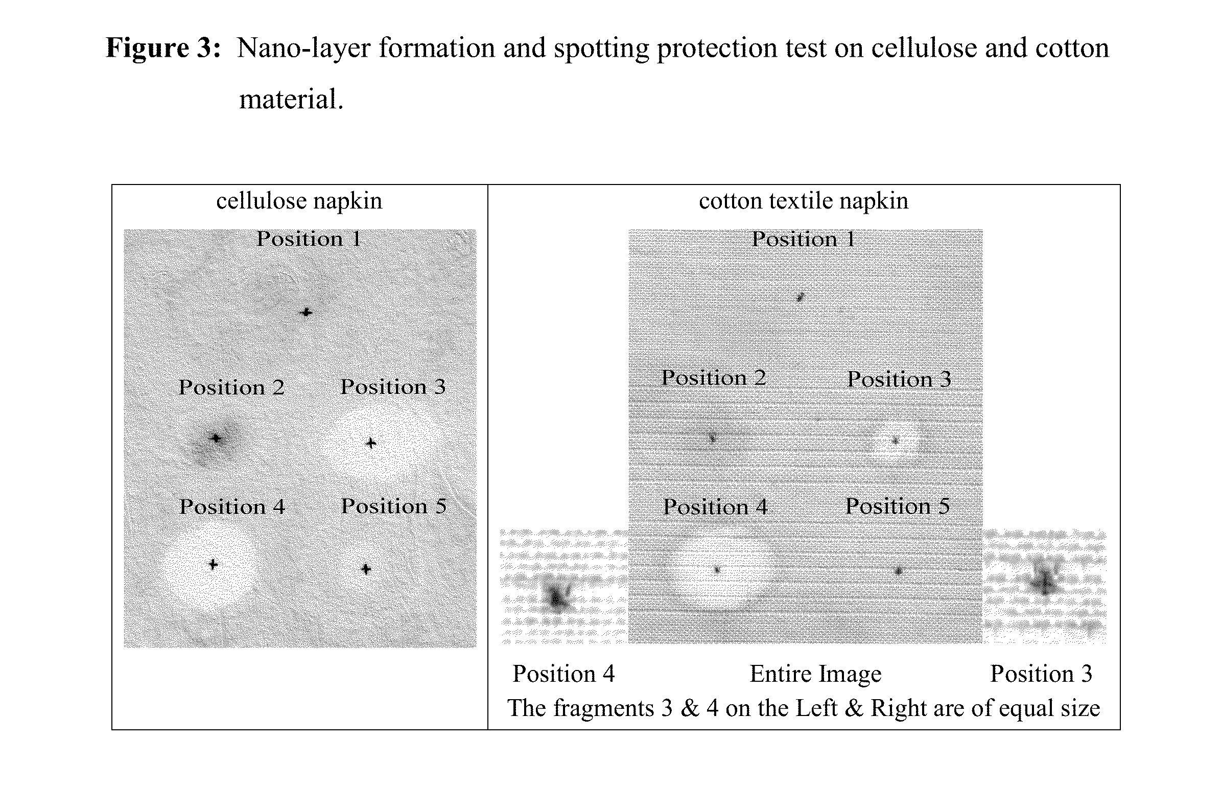 Method and substrate for covalent attachment and encapsulation of biological, chemical and physical substances