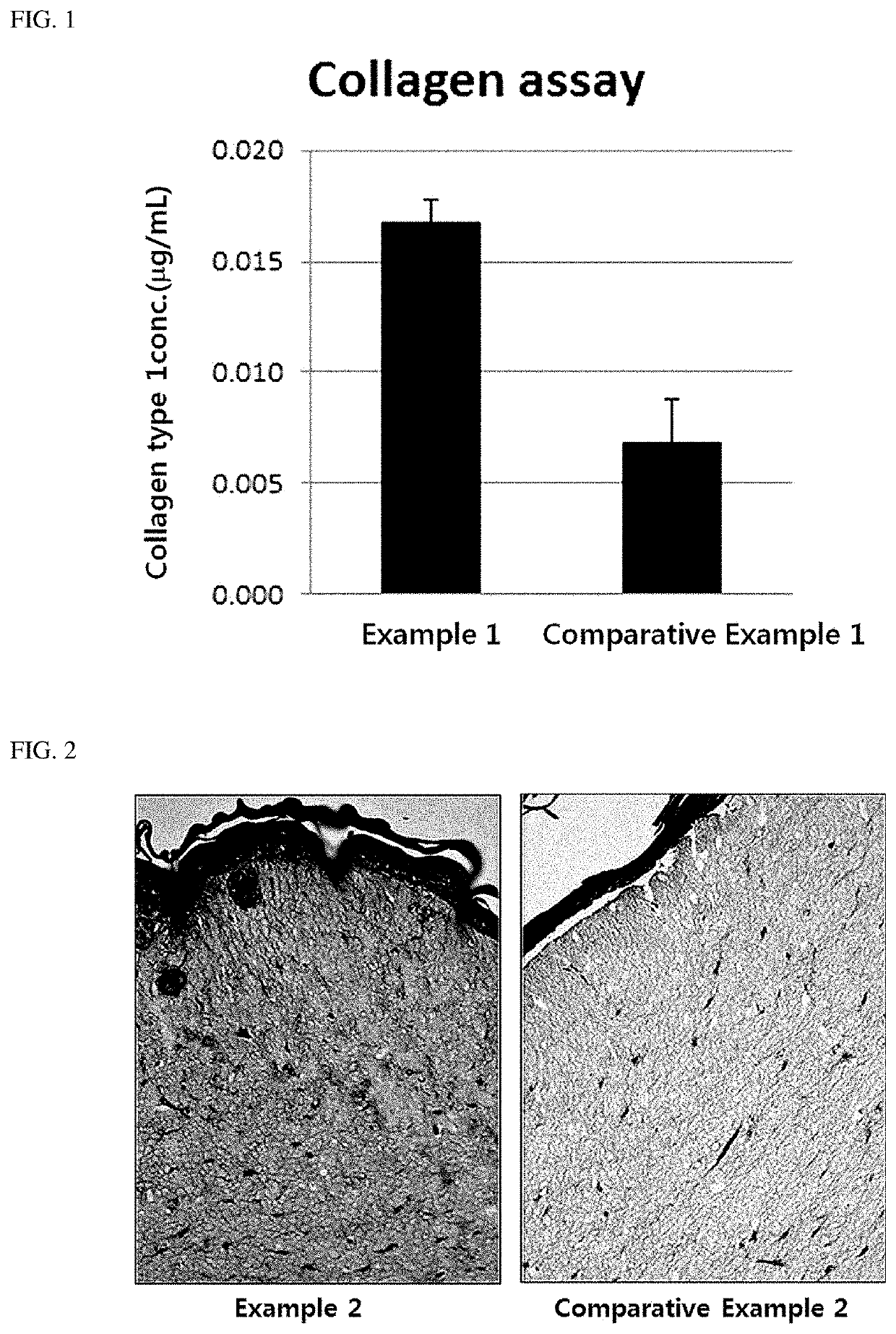 Anti-aging composition