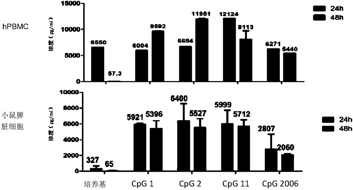 Immunoregulatory polynucleotide and application thereof