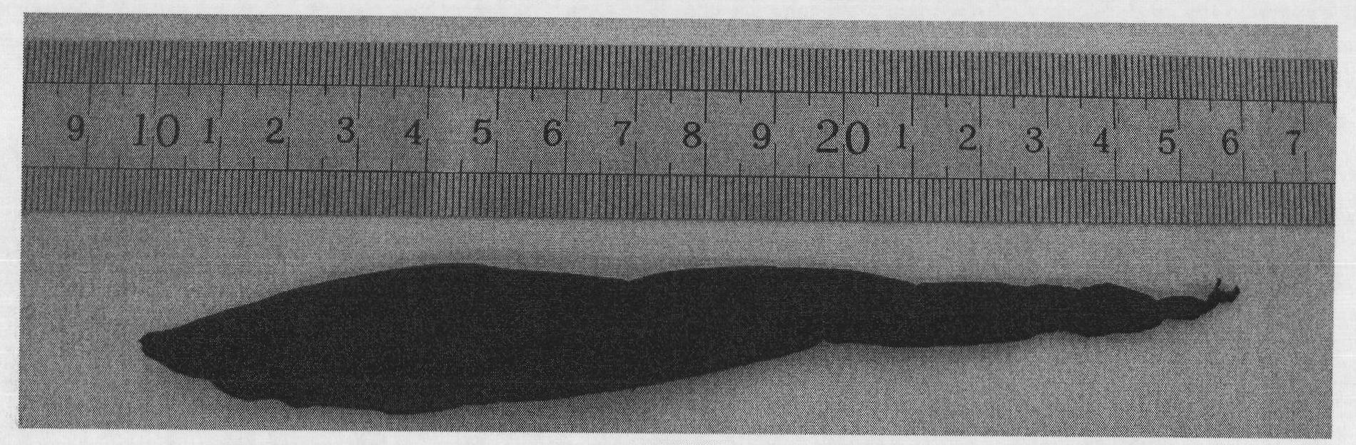 Method for synthesizing continuous carbon nanometer tube film