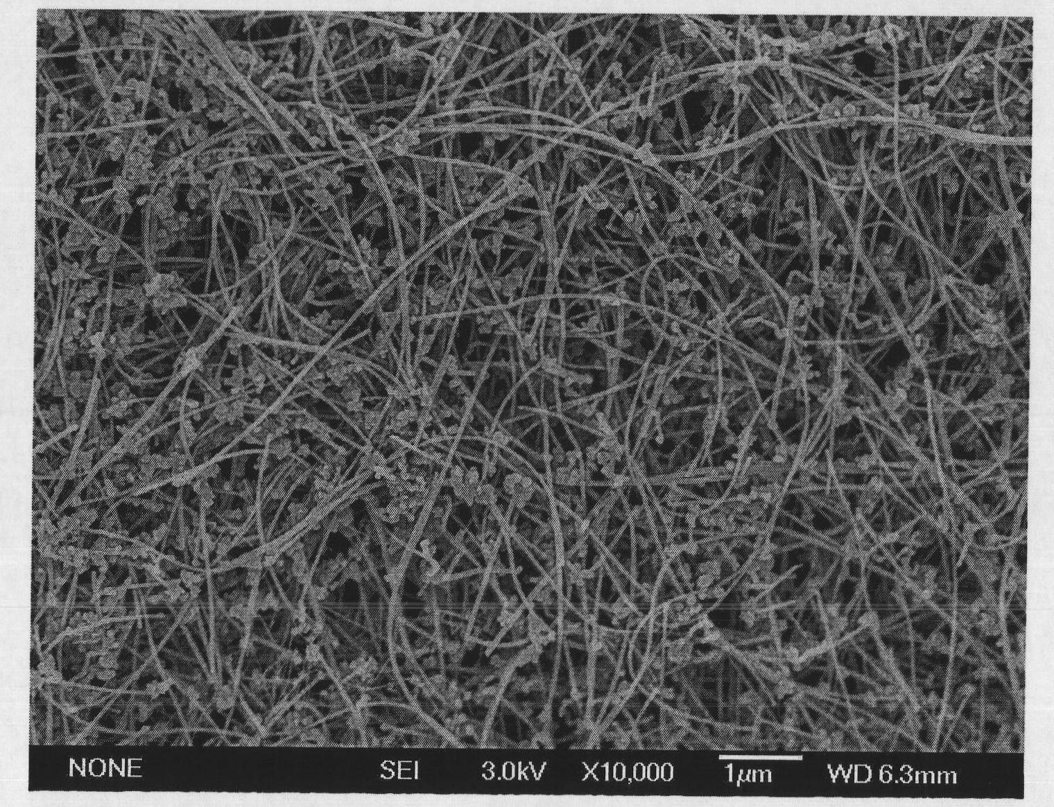 Method for synthesizing continuous carbon nanometer tube film