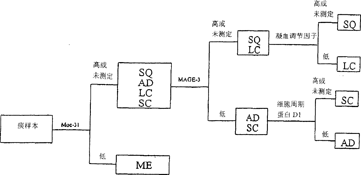 Cell-based detection and differentiation of disease states