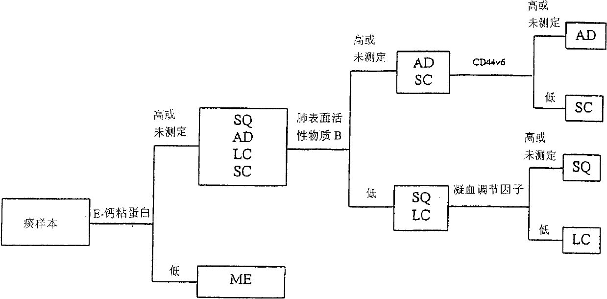 Cell-based detection and differentiation of disease states