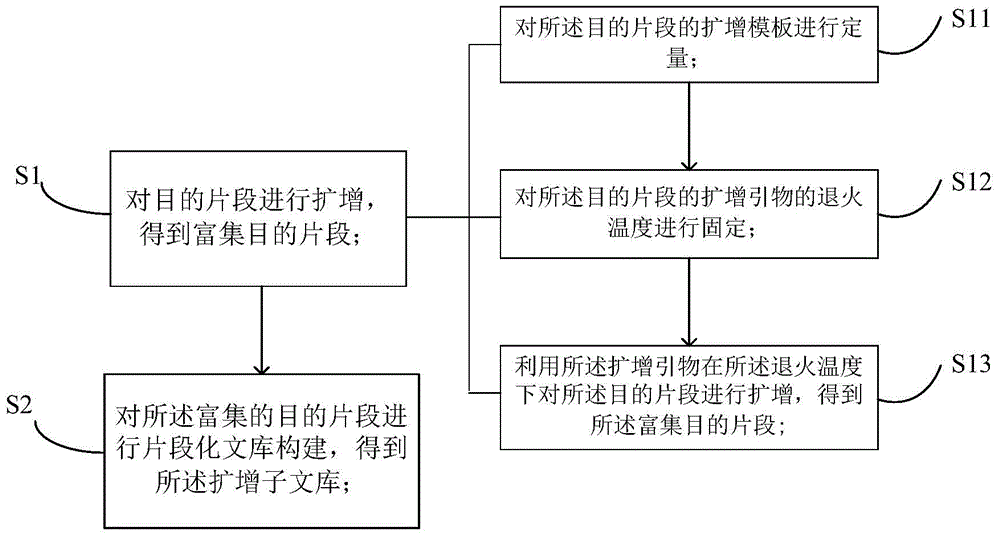 Construction method of amplicon library