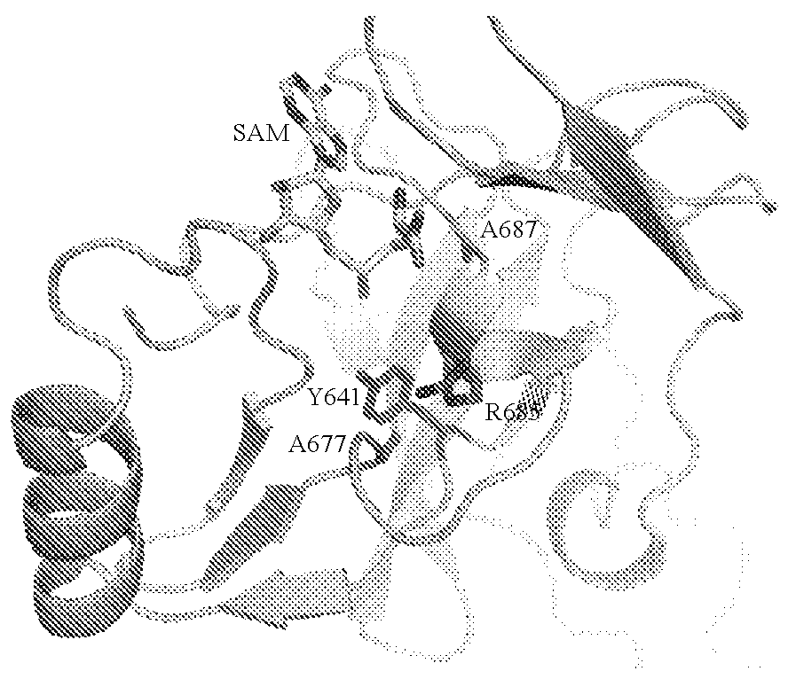 Inhibitors of human ezh2, and methods of use thereof