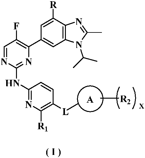 Kinase inhibitor of benzimidazole compound and its preparation method and application