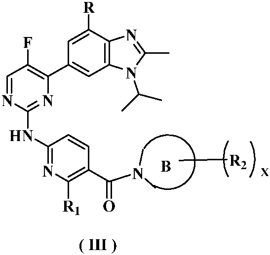 Kinase inhibitor of benzimidazole compound and its preparation method and application