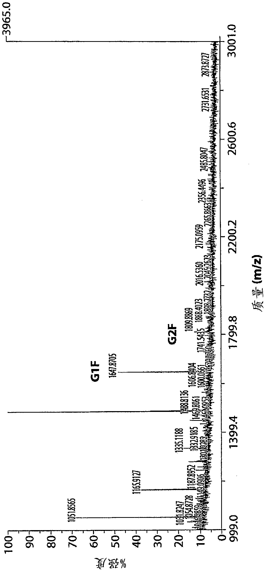 Antibodies with enhanced antibody-dependent cellular cytoxicity activity, methods of their production and use