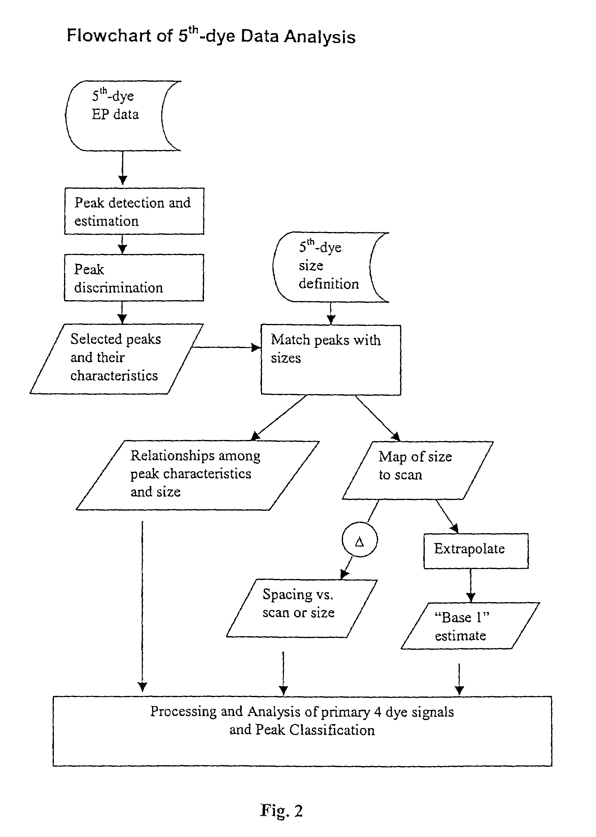 Internal calibration standards for electrophoretic analyses