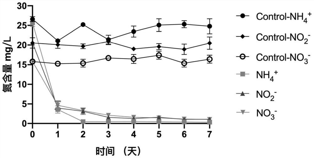 A strain of Bacillus subtilis and its fermentation method and application