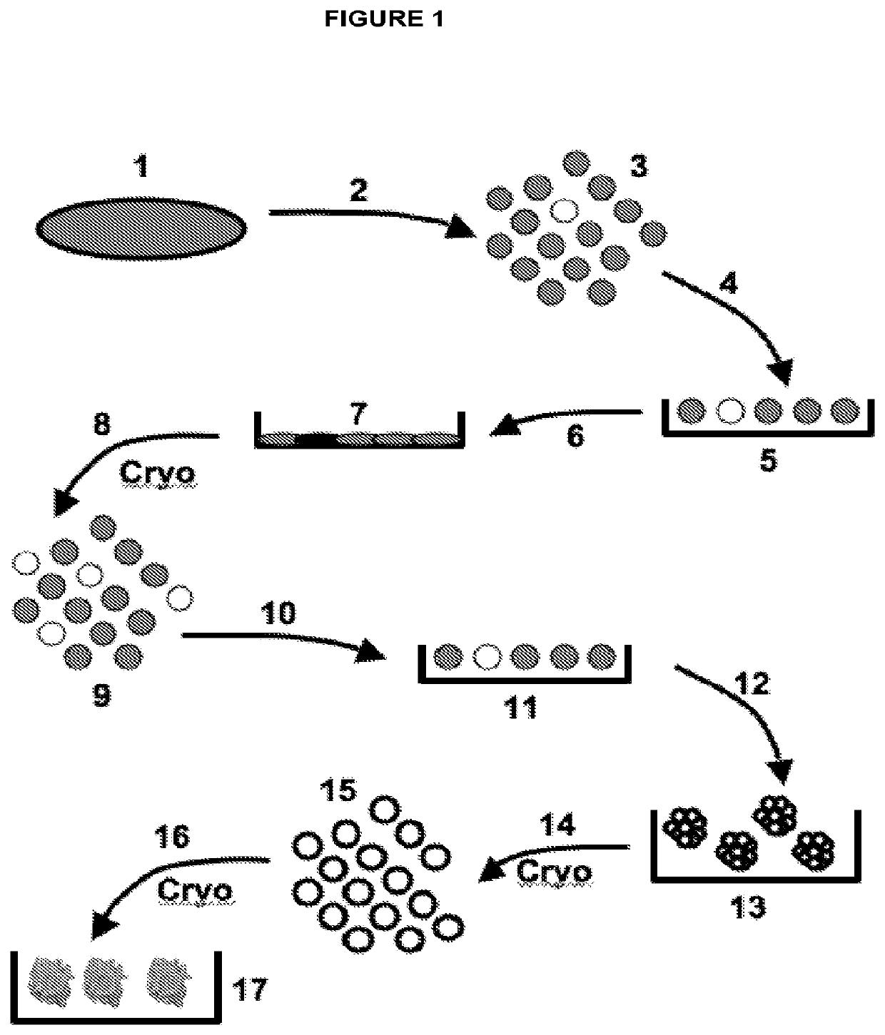 Human disc tissue