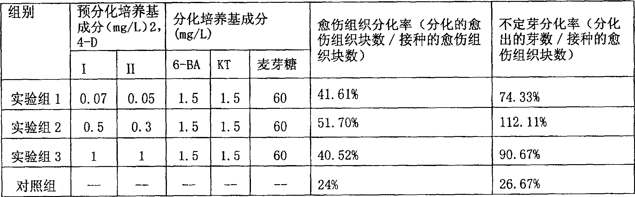 Method for promoting Chinese wildrye callus differentiation rate and its special medium